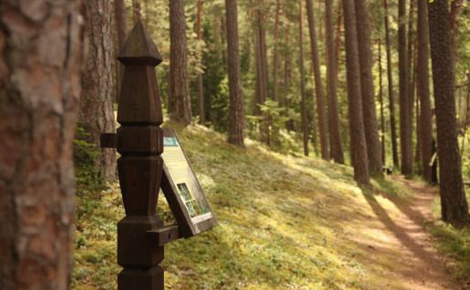 26_Degučių pažintinio takas (2).jpg